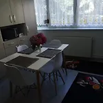 Apartament Ana Lux *